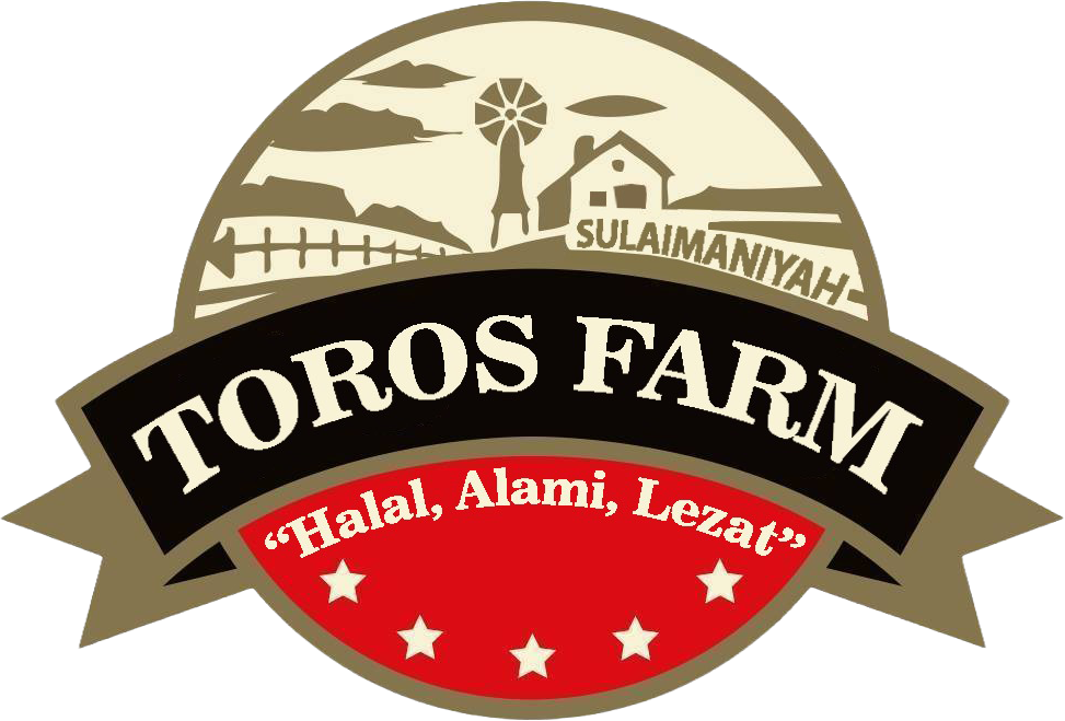 logo-footer